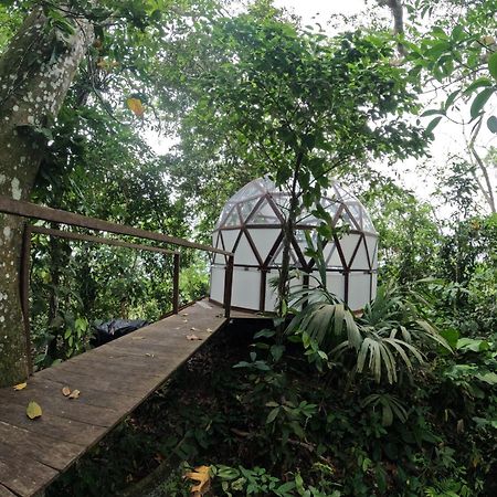 Taorayina Nature Lodge- Immersed In The Forest Zaino Eksteriør billede
