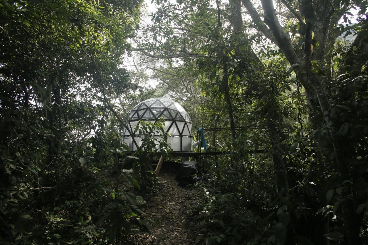 Taorayina Nature Lodge- Immersed In The Forest Zaino Eksteriør billede
