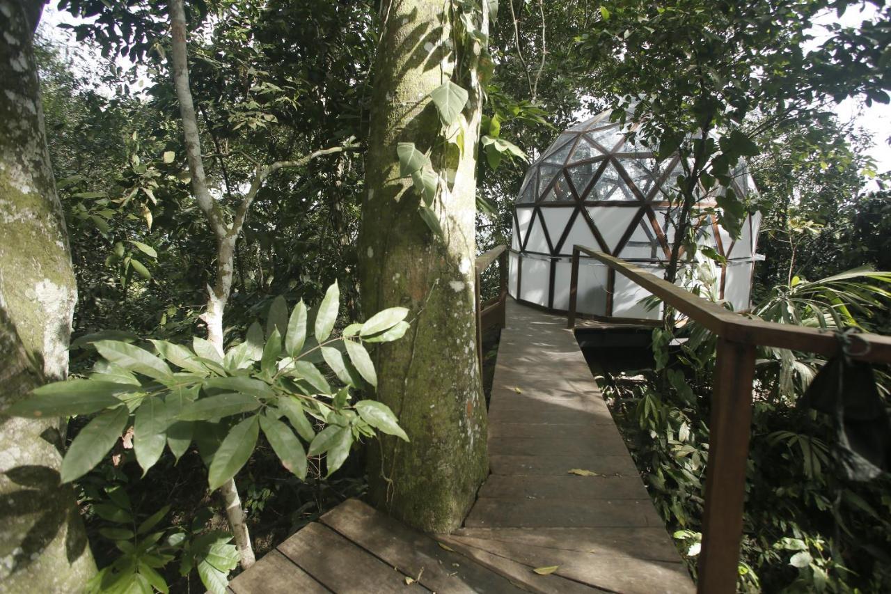 Taorayina Nature Lodge- Immersed In The Forest Zaino Eksteriør billede