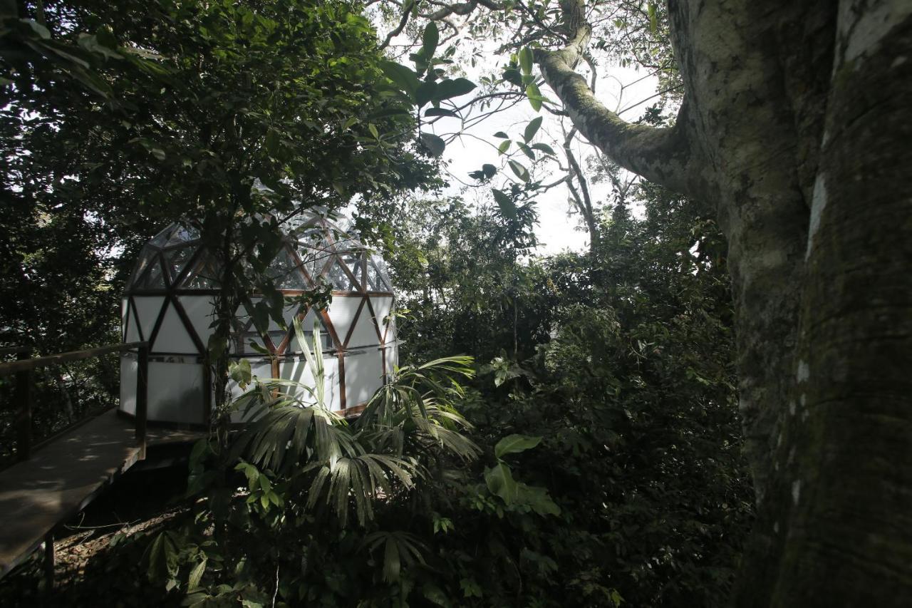 Taorayina Nature Lodge- Immersed In The Forest Zaino Eksteriør billede