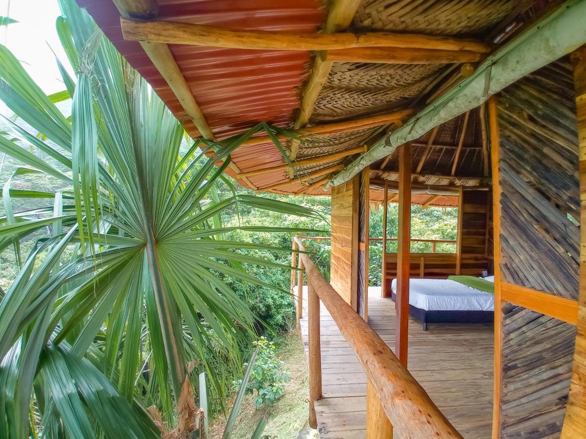 Taorayina Nature Lodge- Immersed In The Forest Zaino Eksteriør billede