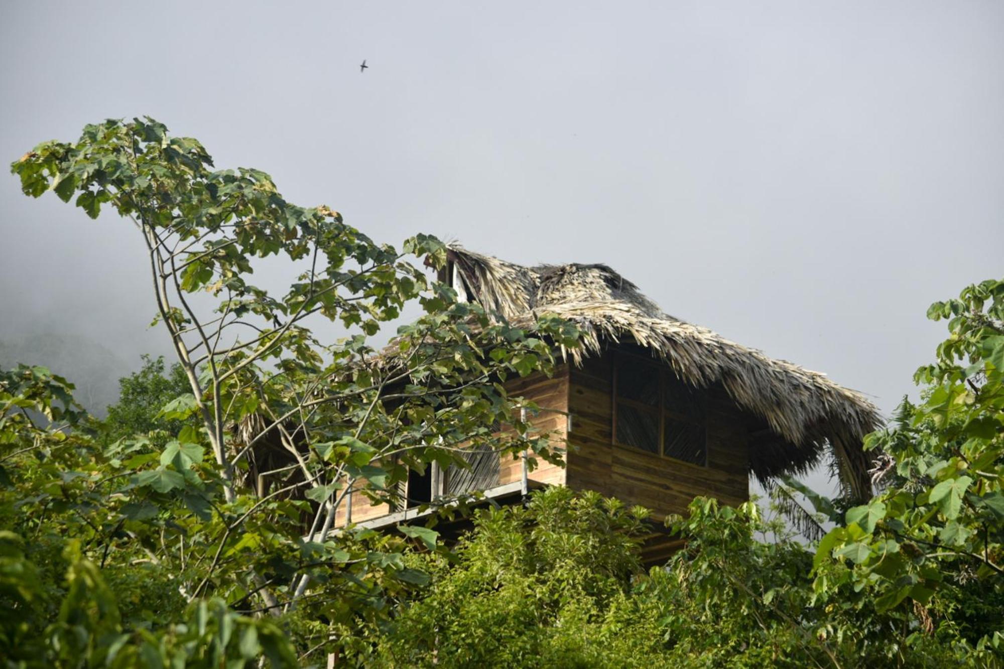 Taorayina Nature Lodge- Immersed In The Forest Zaino Eksteriør billede